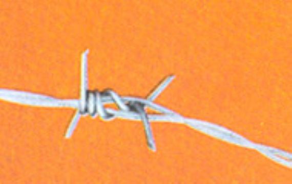 Traditional Twist Barbed Wire